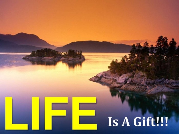 life-is-a-gift-1-728